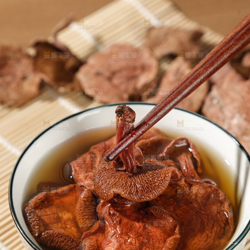 牛肝菌
