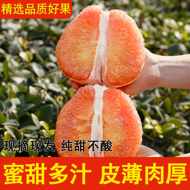 红宝石青柚