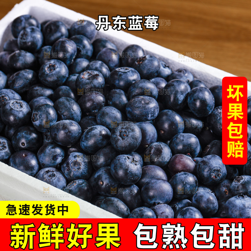 蓝莓