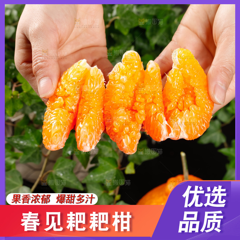 春见耙耙柑