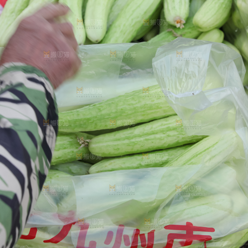 白玉黄瓜