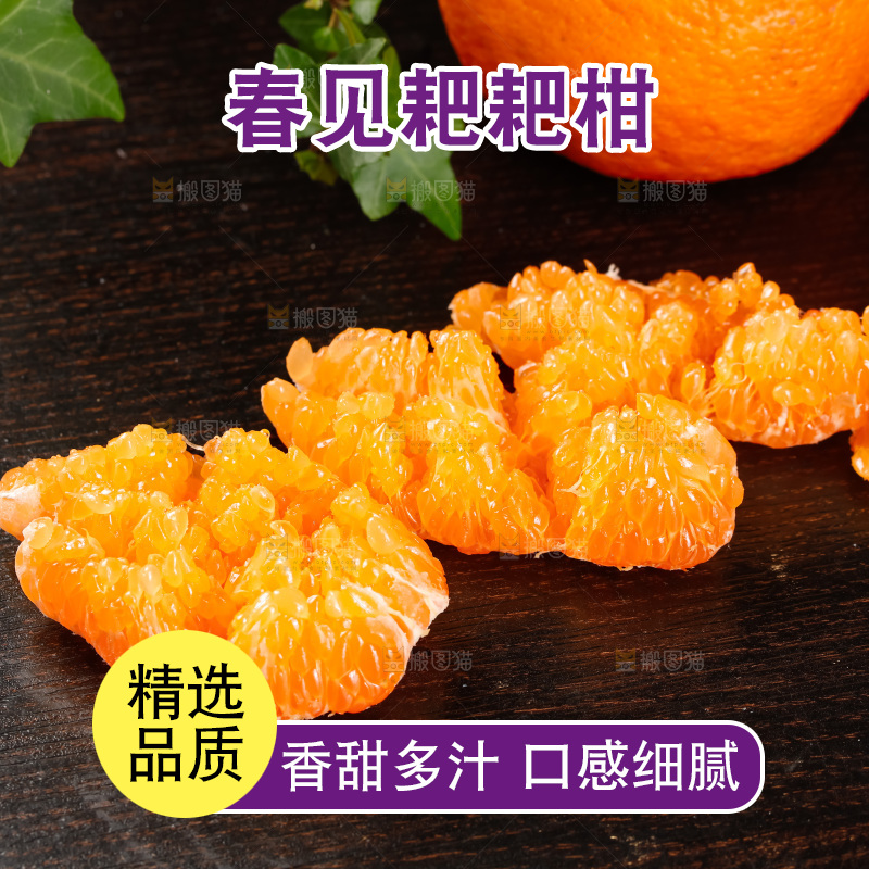 春见耙耙柑