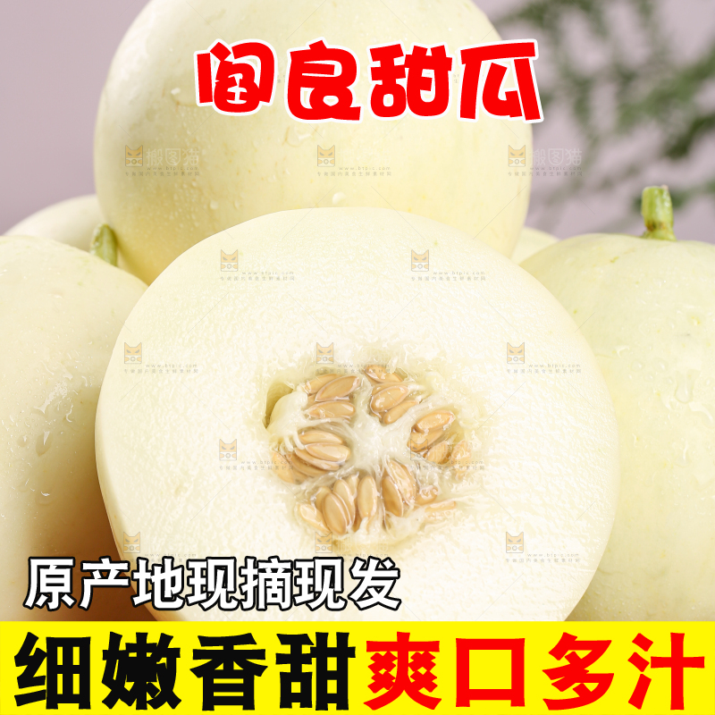 阎良甜瓜
