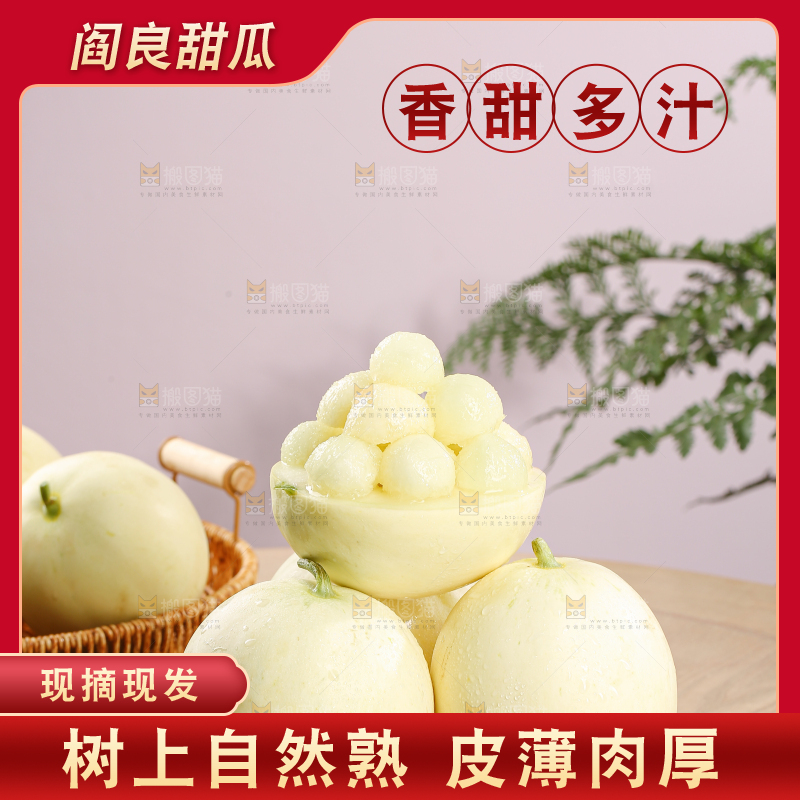阎良甜瓜
