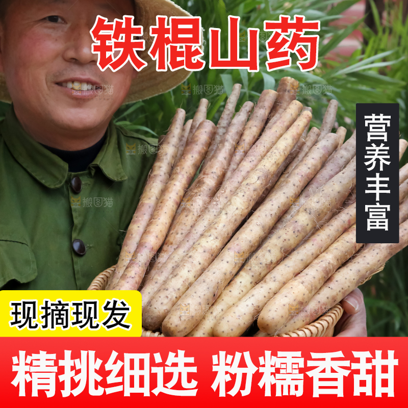 铁棍山药