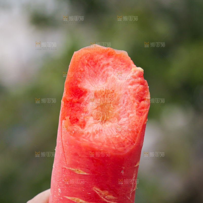 红胡萝卜
