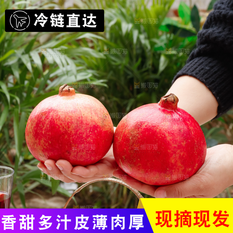软籽石榴