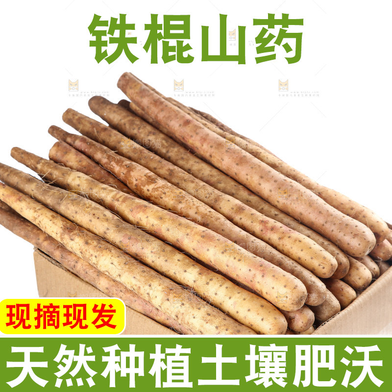 铁棍山药