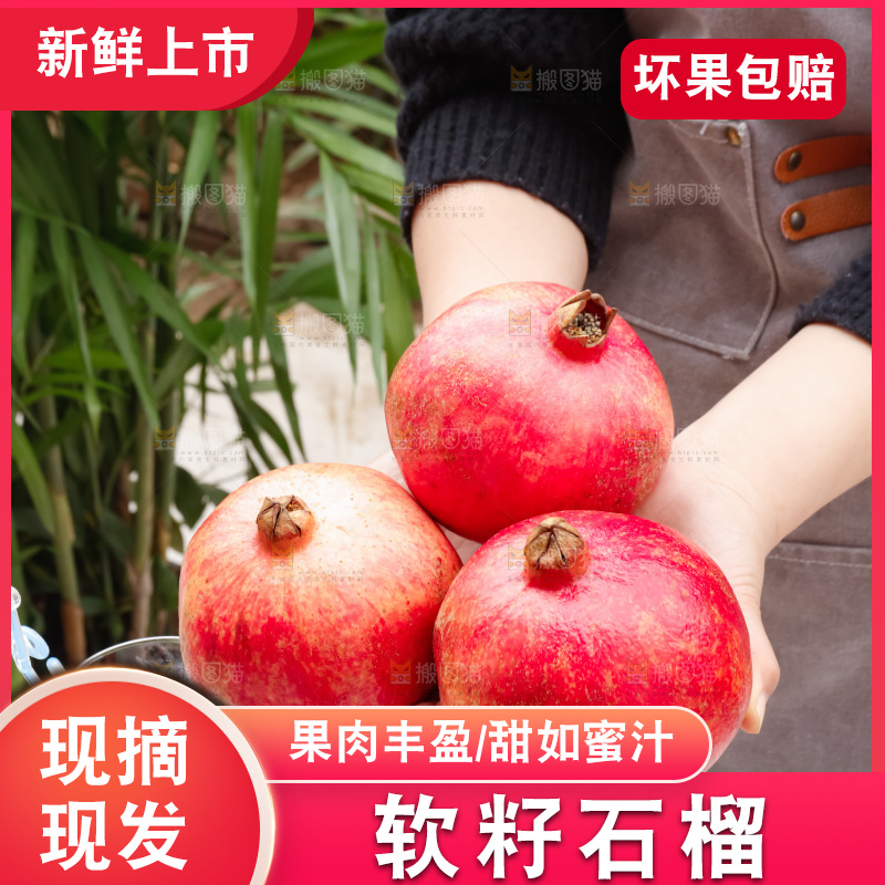 软籽石榴