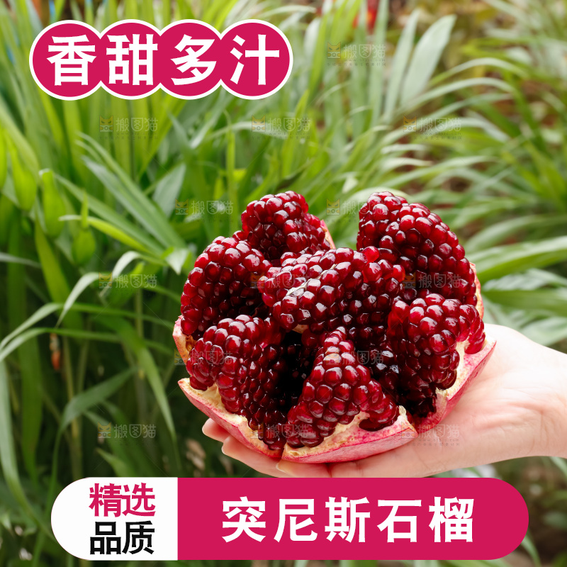 软籽石榴