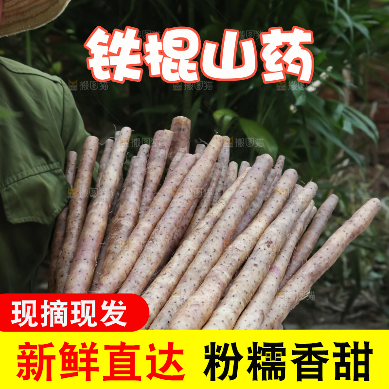 铁棍山药