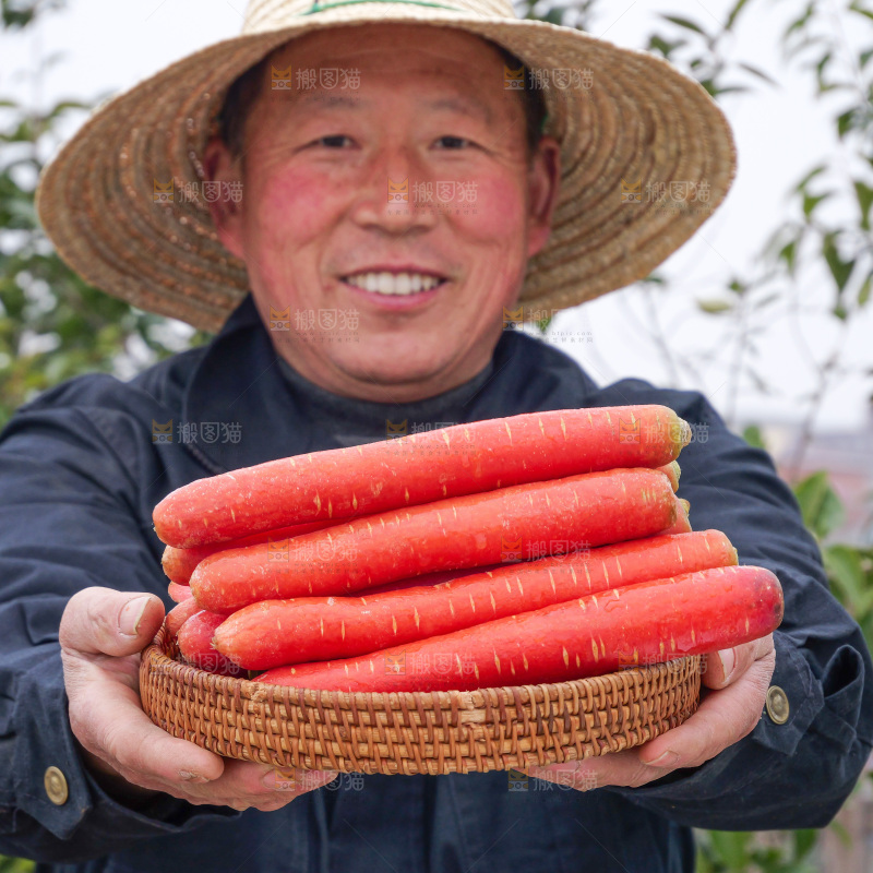 红胡萝卜