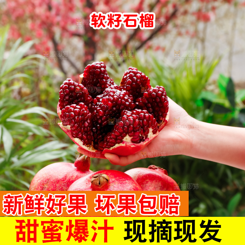 软籽石榴