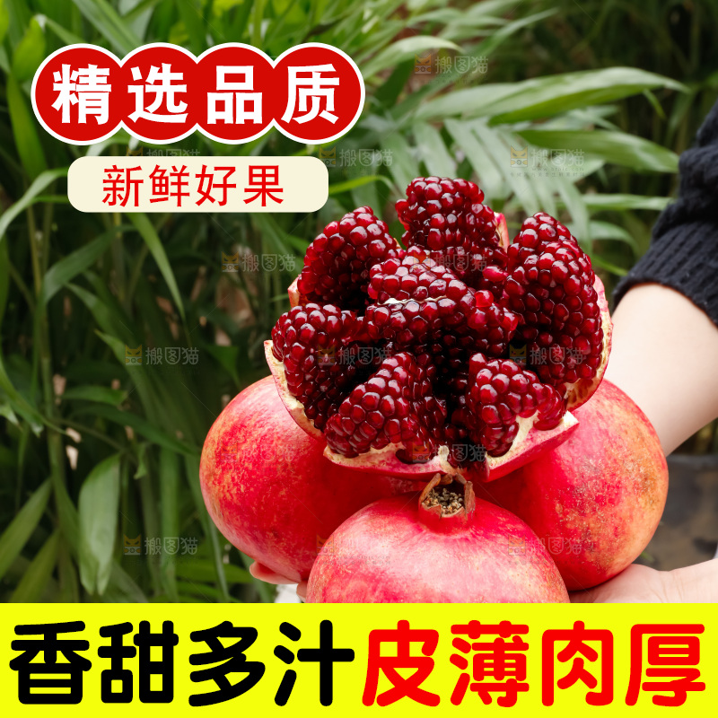 软籽石榴