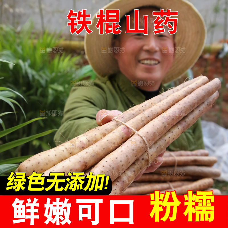 铁棍山药