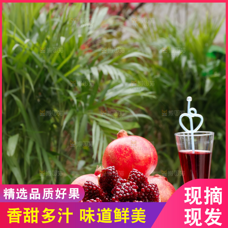 软籽石榴