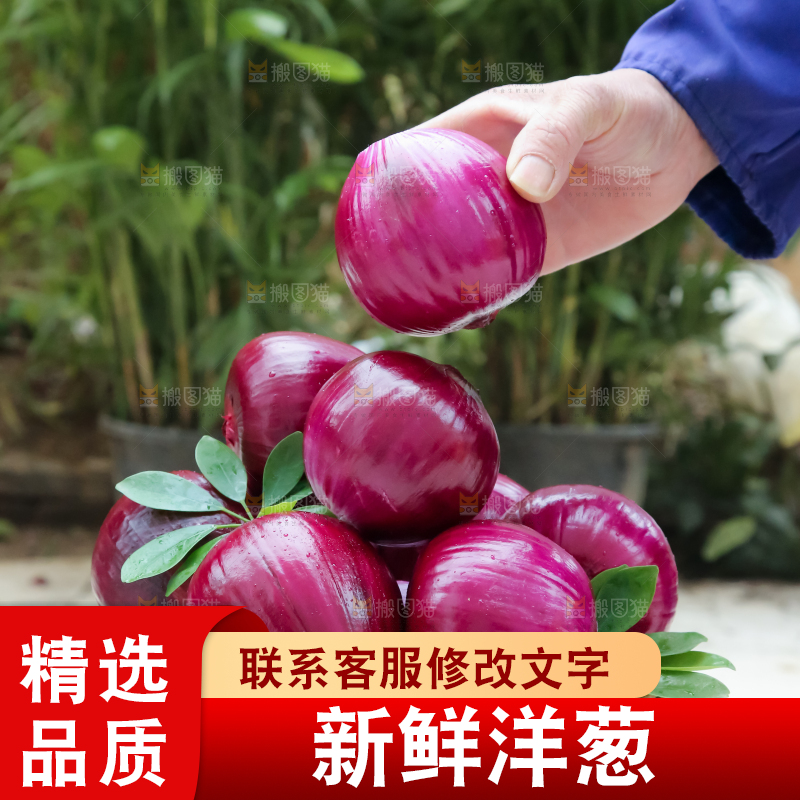 洋葱