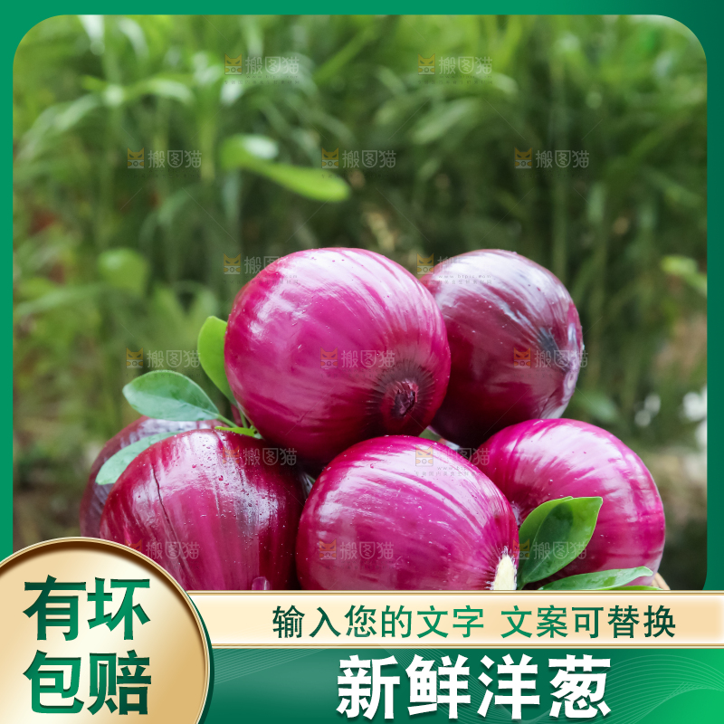 洋葱