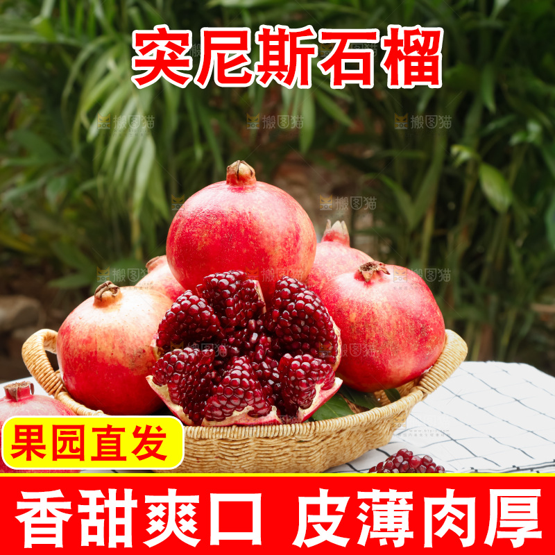 软籽石榴