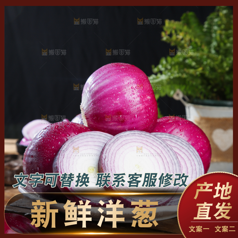 洋葱