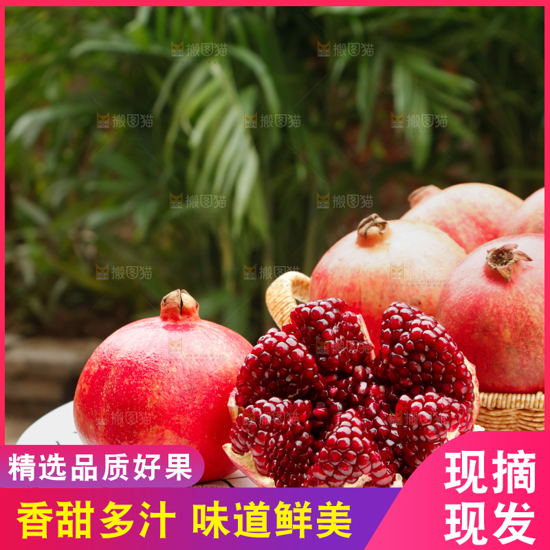 软籽石榴