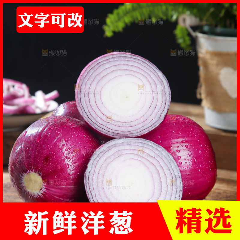 洋葱