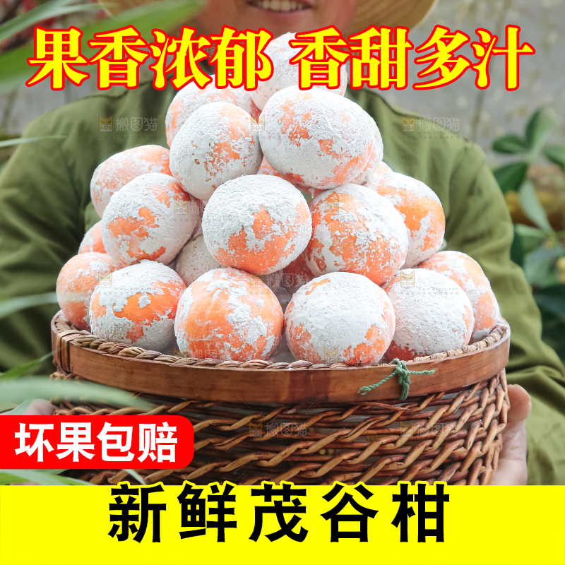 茂谷柑