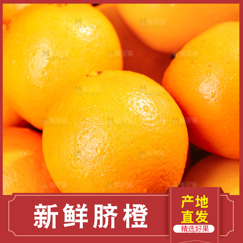 脐橙