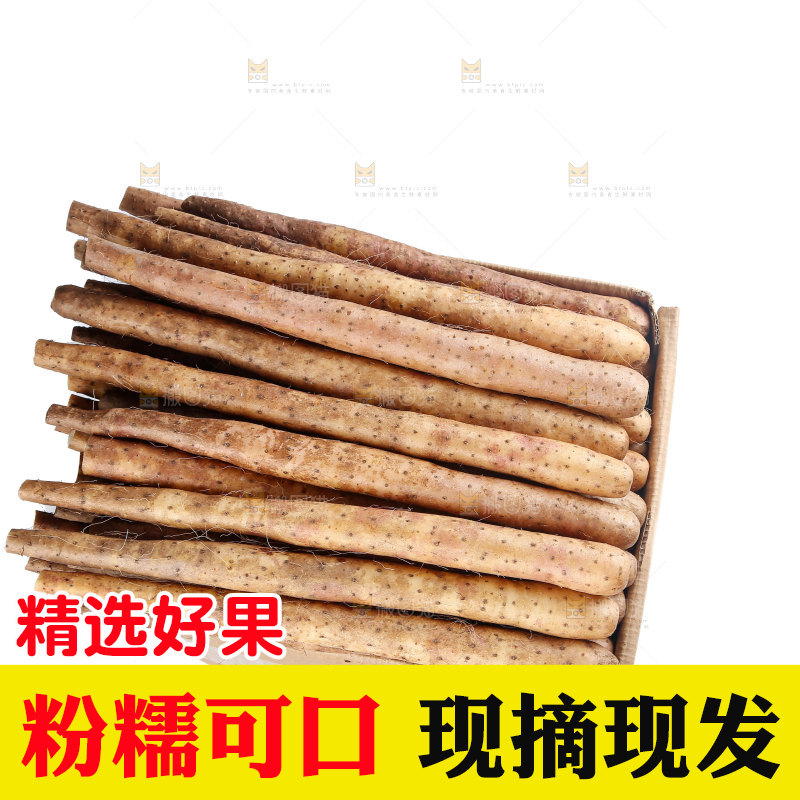 铁棍山药
