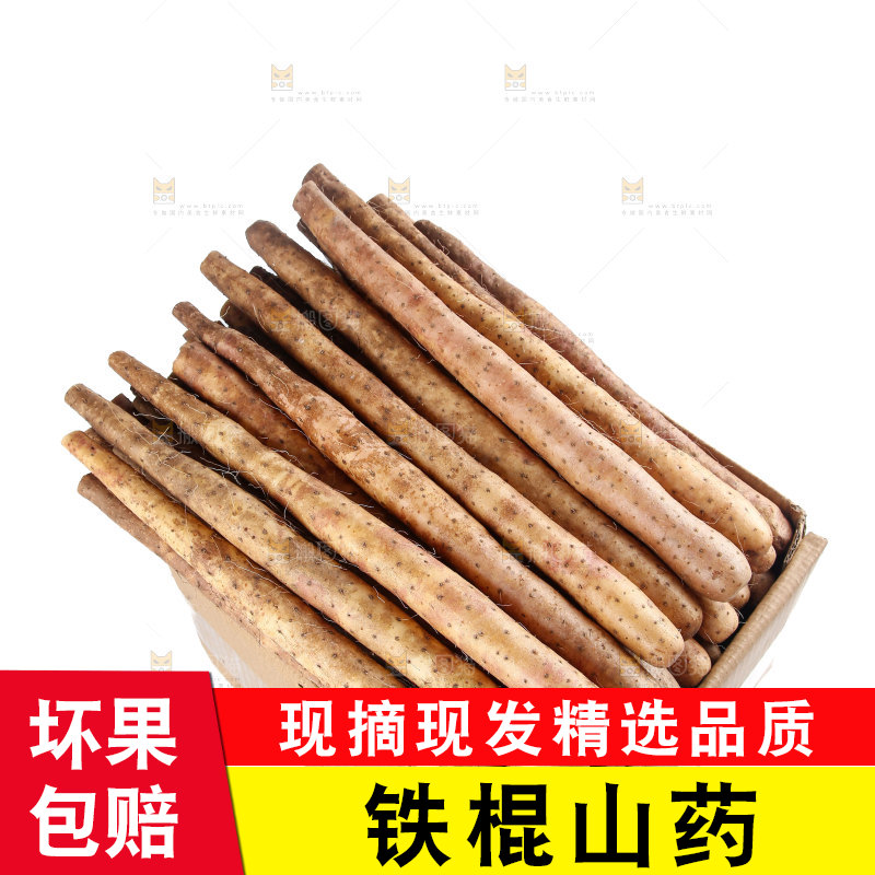 铁棍山药