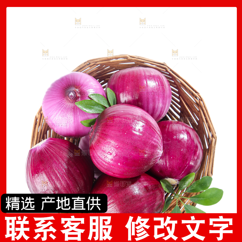 洋葱