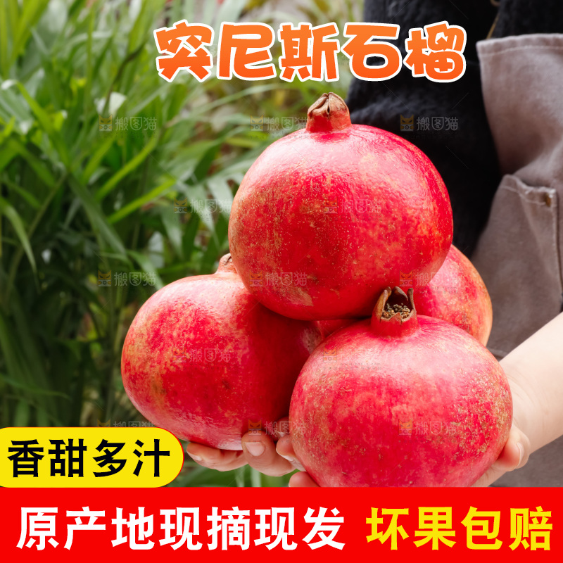 软籽石榴