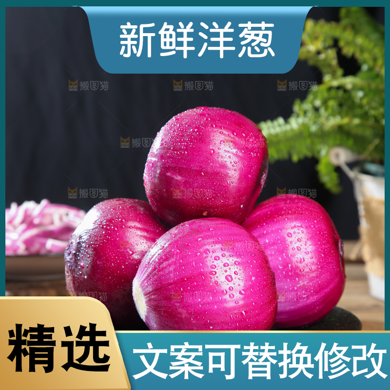 洋葱