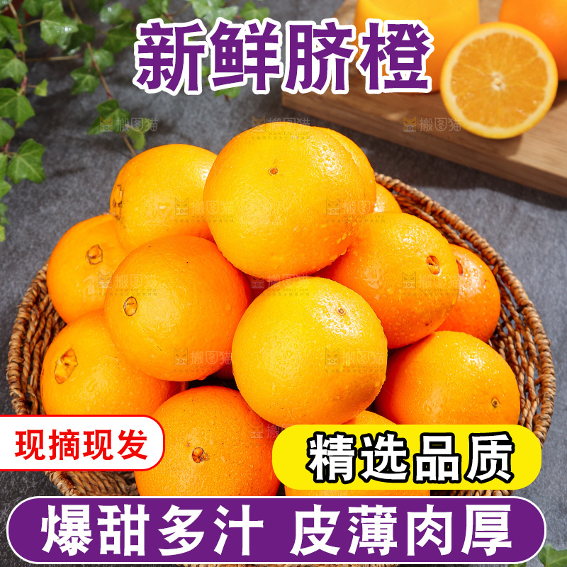 脐橙