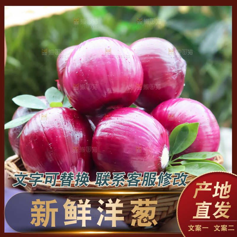 洋葱