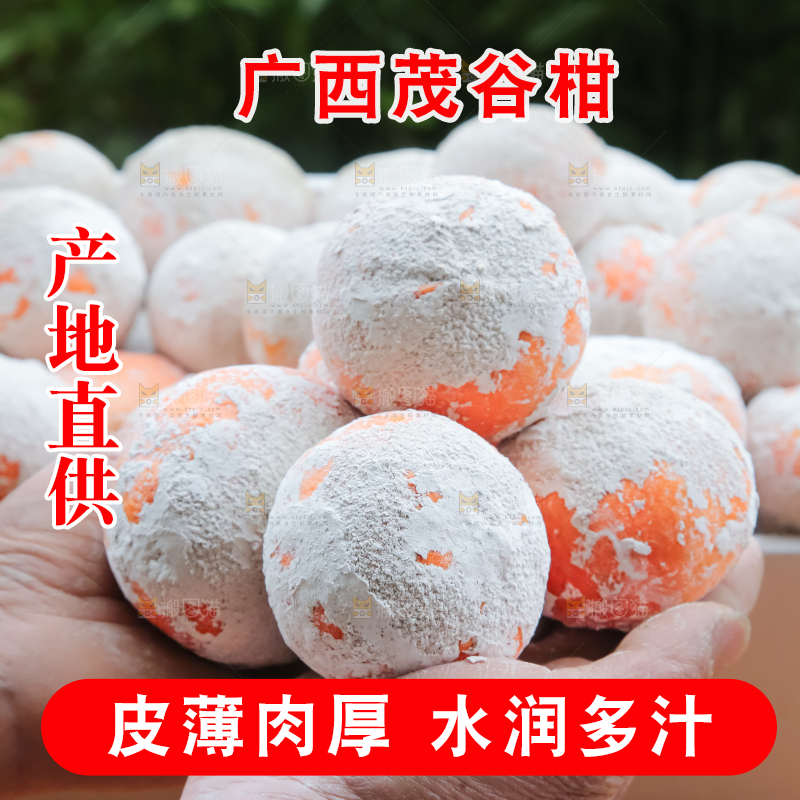 茂谷柑