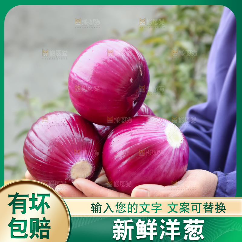 洋葱