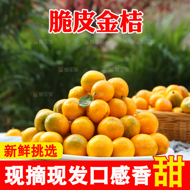 脆皮金桔