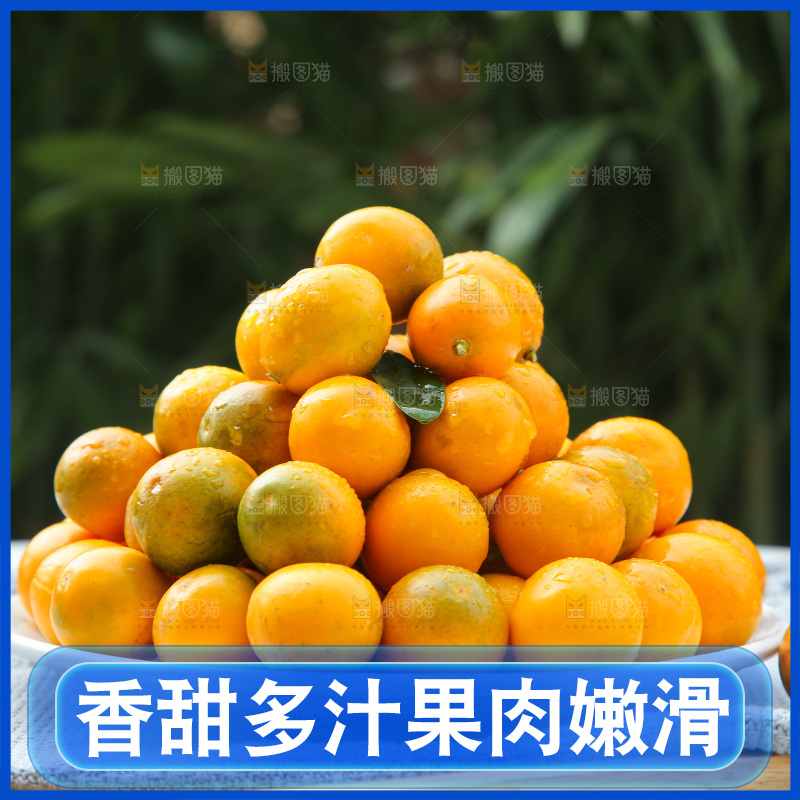 脆皮金桔