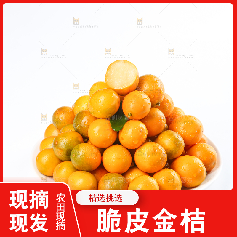 脆皮金桔
