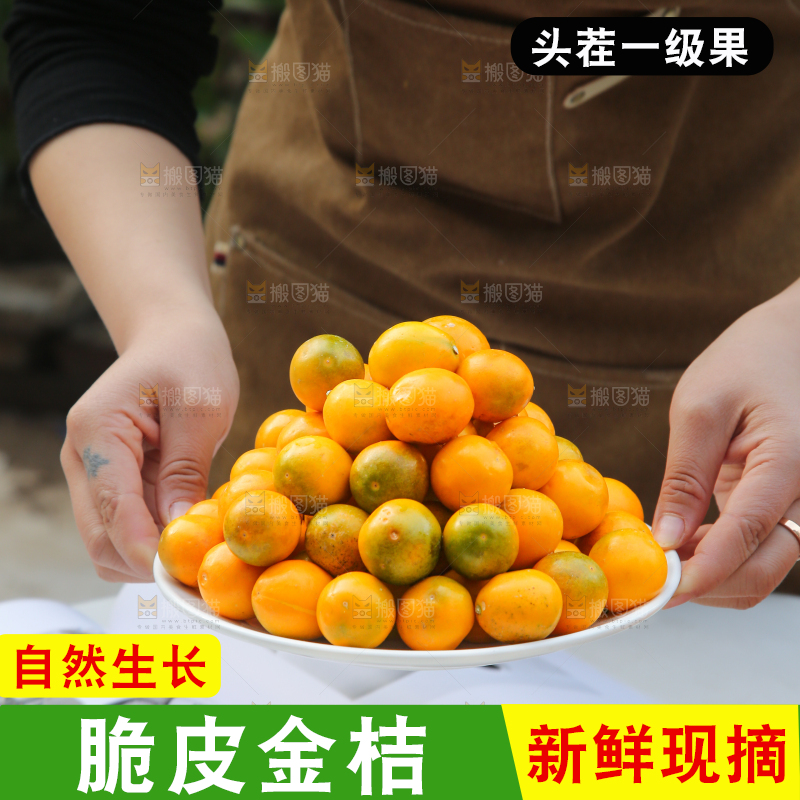 脆皮金桔
