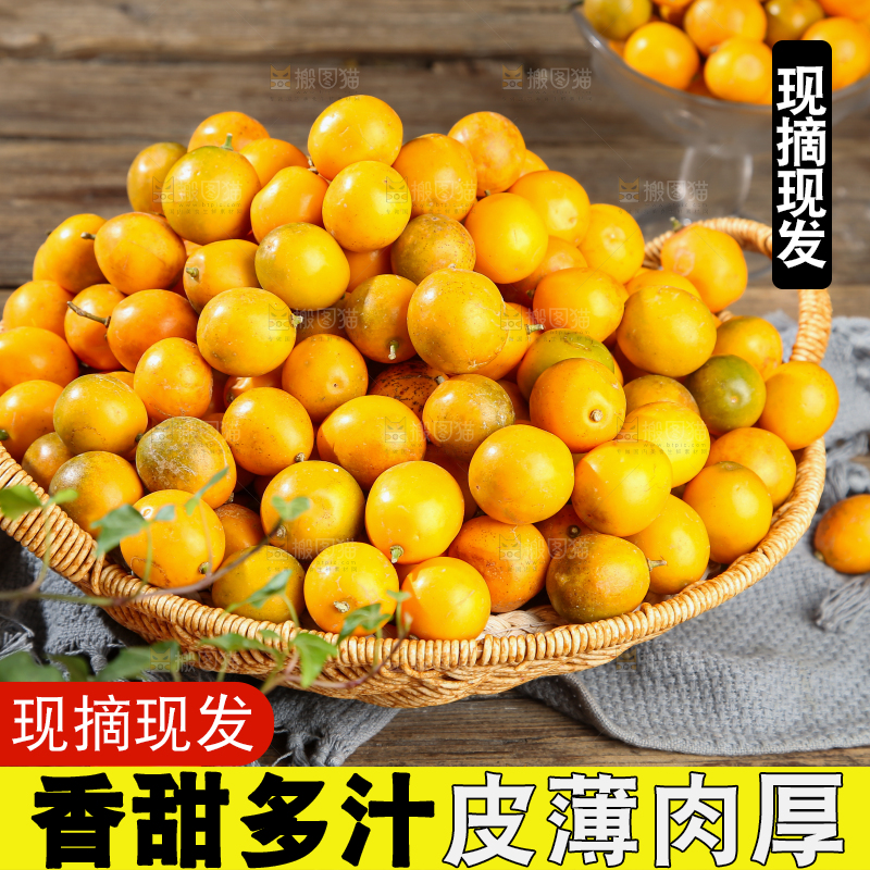 脆皮金桔