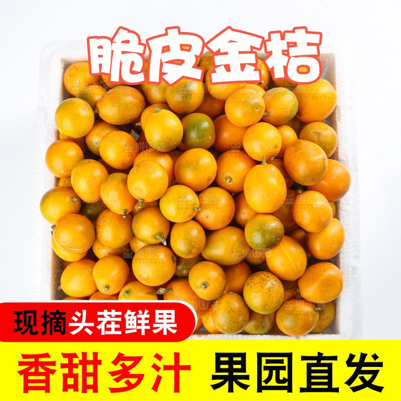 脆皮金桔