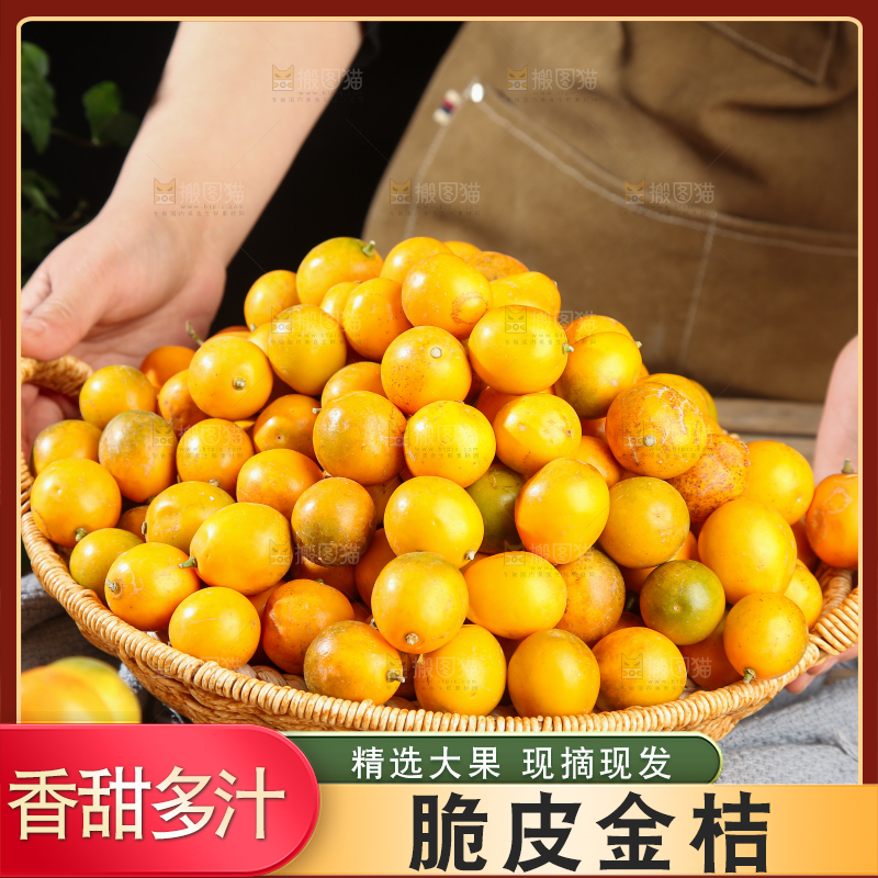 脆皮金桔