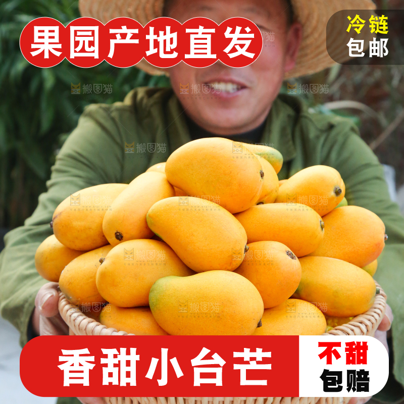 小台芒