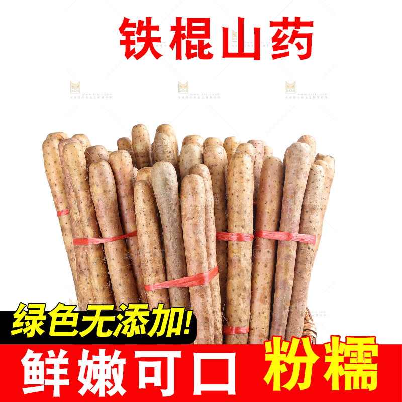 铁棍山药