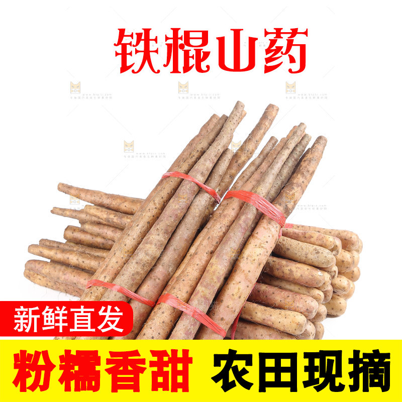 铁棍山药