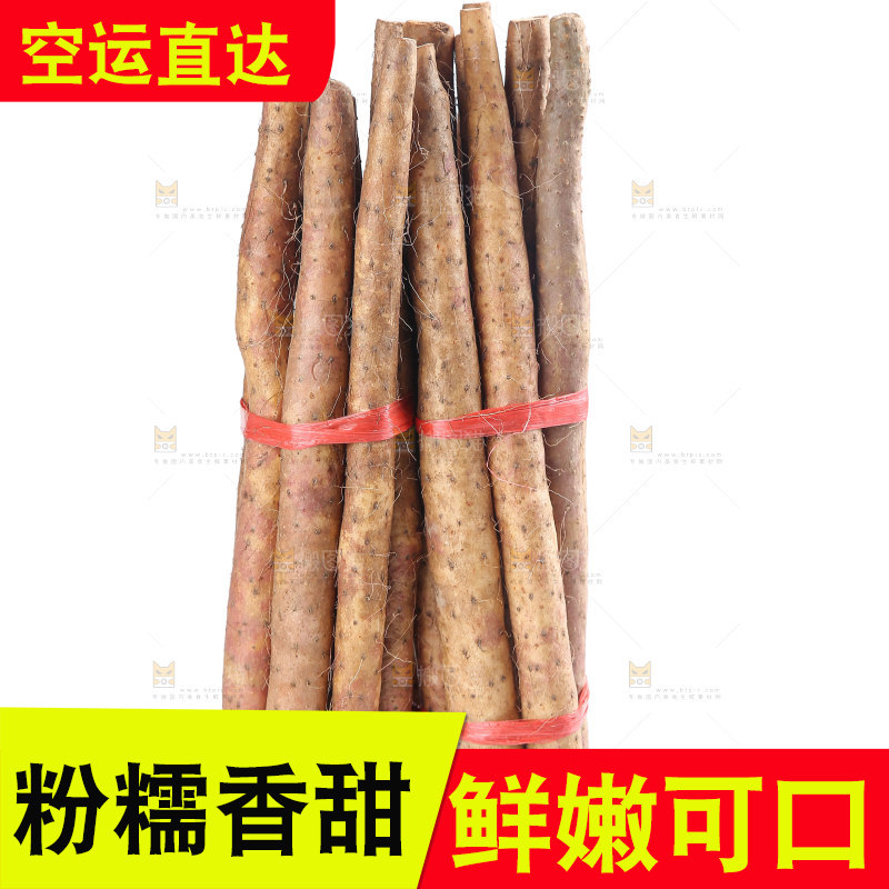 铁棍山药