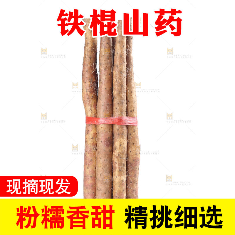铁棍山药