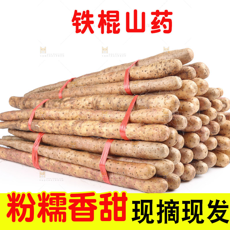 铁棍山药